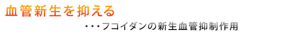 フコイダンの新生血管抑制作用