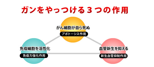 がんをやっつける3つの作用